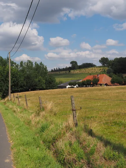 Kwaremont (Belgium)